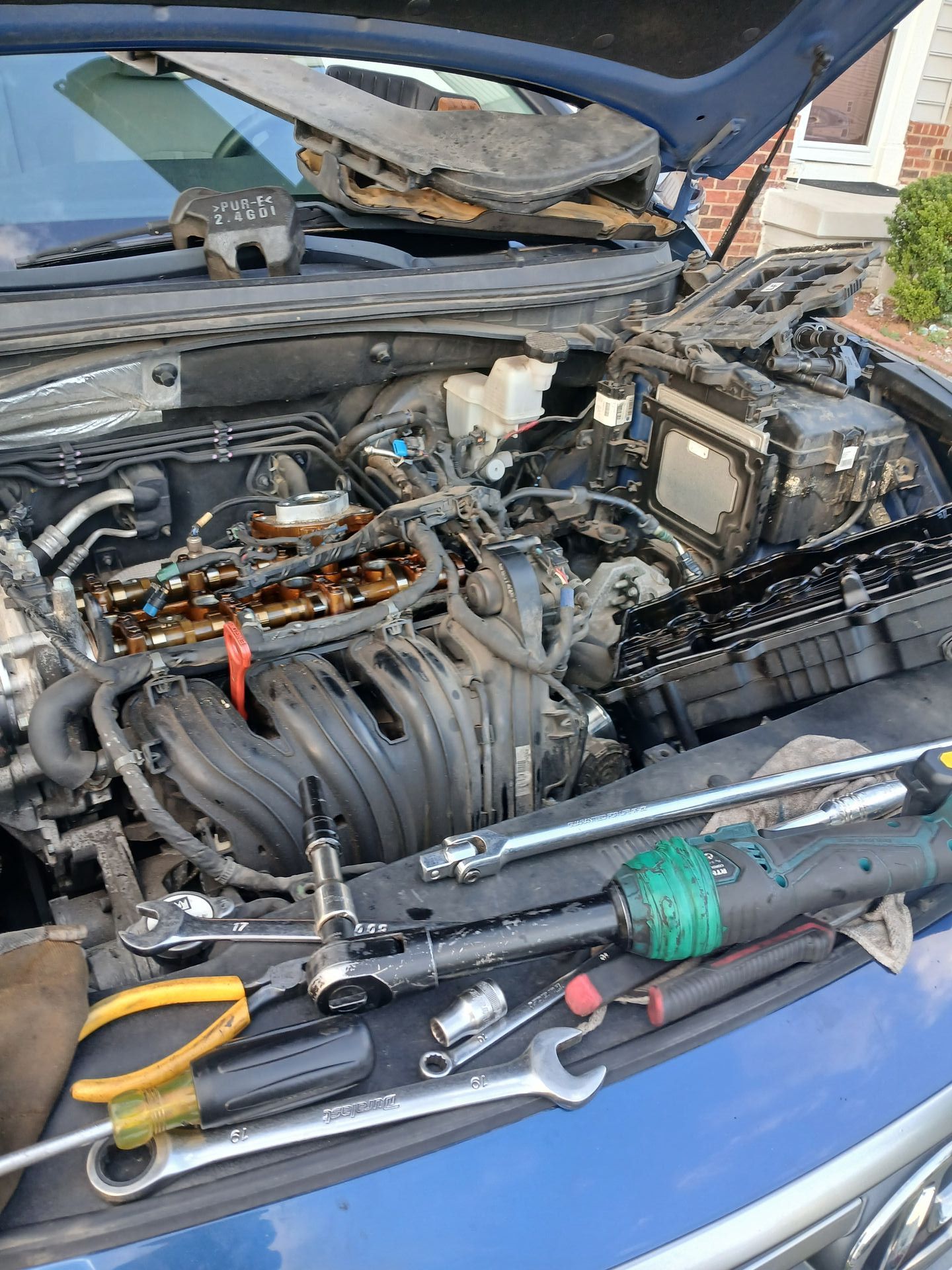 1000095084